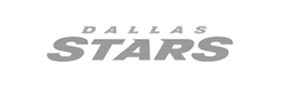 Digiture Client - Dallas Stars Logo