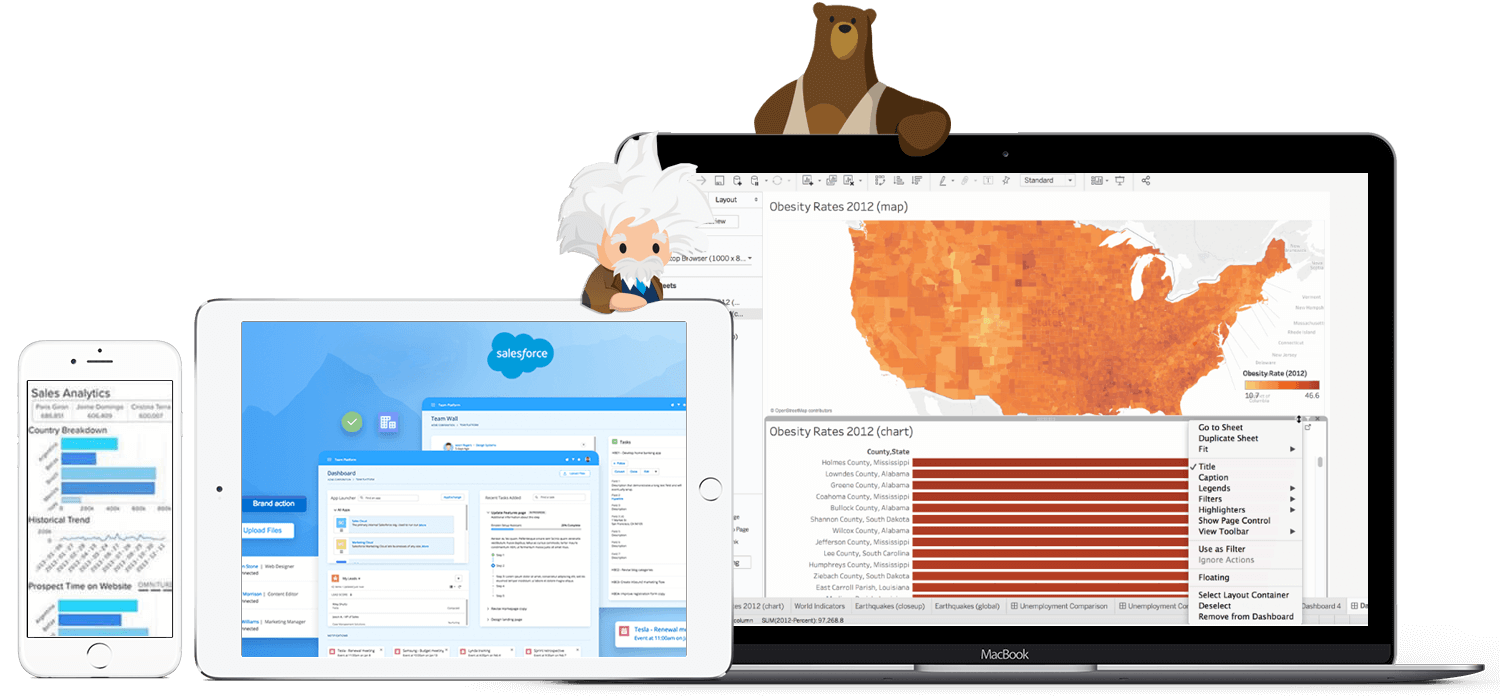 Digiture has integrated Salesforce & Tableau